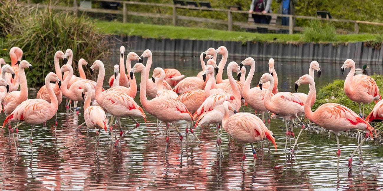 WWT Washington at 50: A legacy in flight