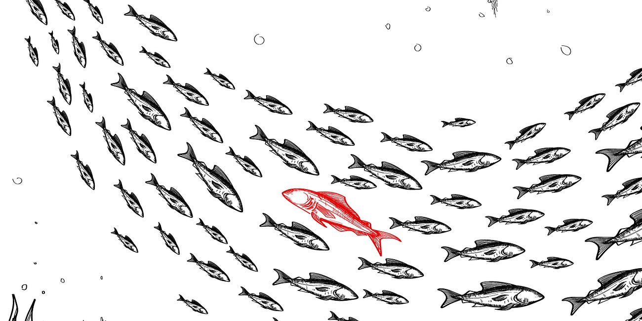 🥽 Diferenciación en SEO