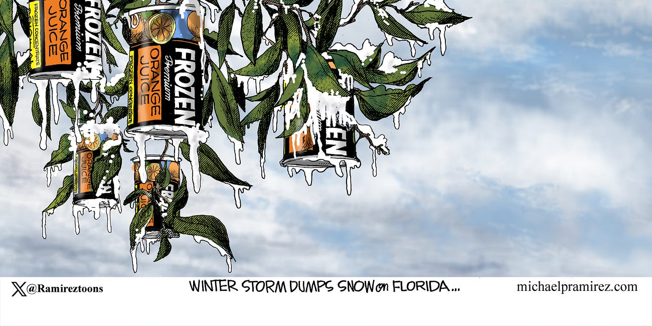 Michael Ramirez: Deep Freeze 1-25-25