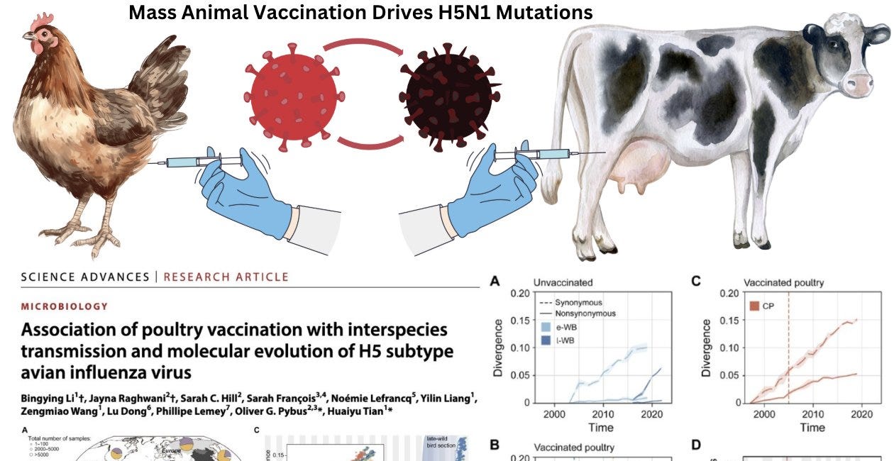 MAHA BACK ON TRACK: RFK Jr. Opposes Mass H5N1 Animal Vaccination & Is Going After The BigFood Industrial Complex