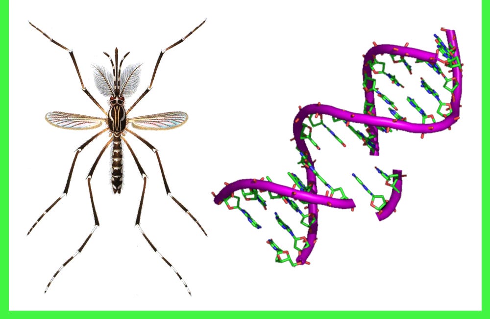 Lab-Altered Mosquito Methods: An Overview
