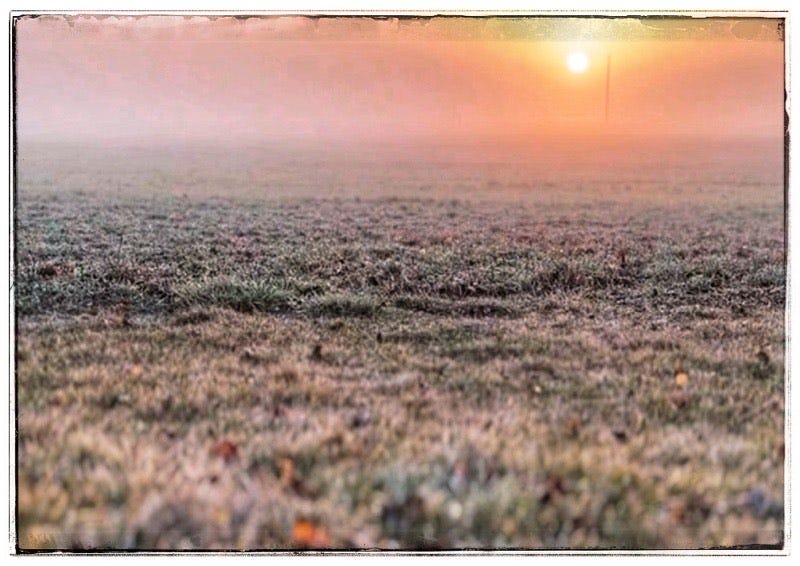 Sun Rising Through the Mists. 