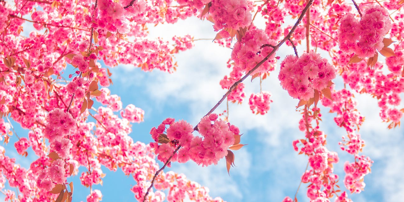 The Transformative Energy of Spring
