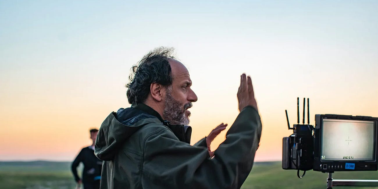 Luca Guadagnino: la tier list