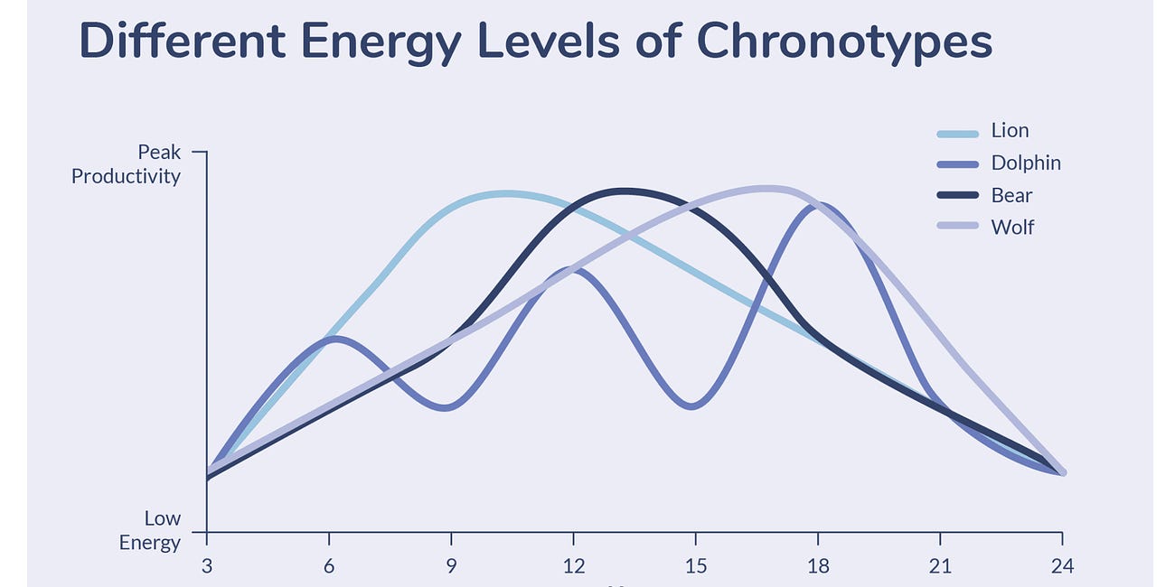 Chronotype vs circadian rhythm