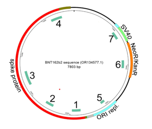 BREAKING: German Study Raises Grave Safety Concerns over BioNTech's Comirnaty