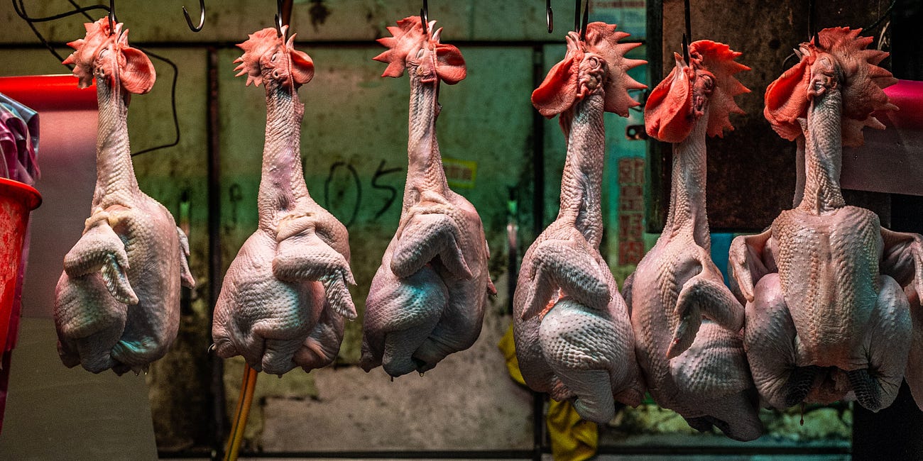 Kill all, for there is no one but us to feed and nourish