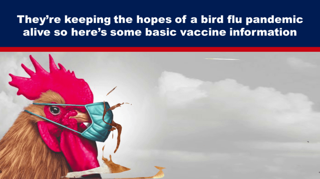 They’re Keeping the Hopes of a Bird Flu Pandemic Alive So Here’s Some Basic Vaccine Information