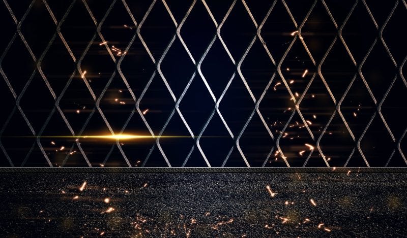 Jeffrey A. Tucker: The CDC Planned Quarantine Camps Nationwide