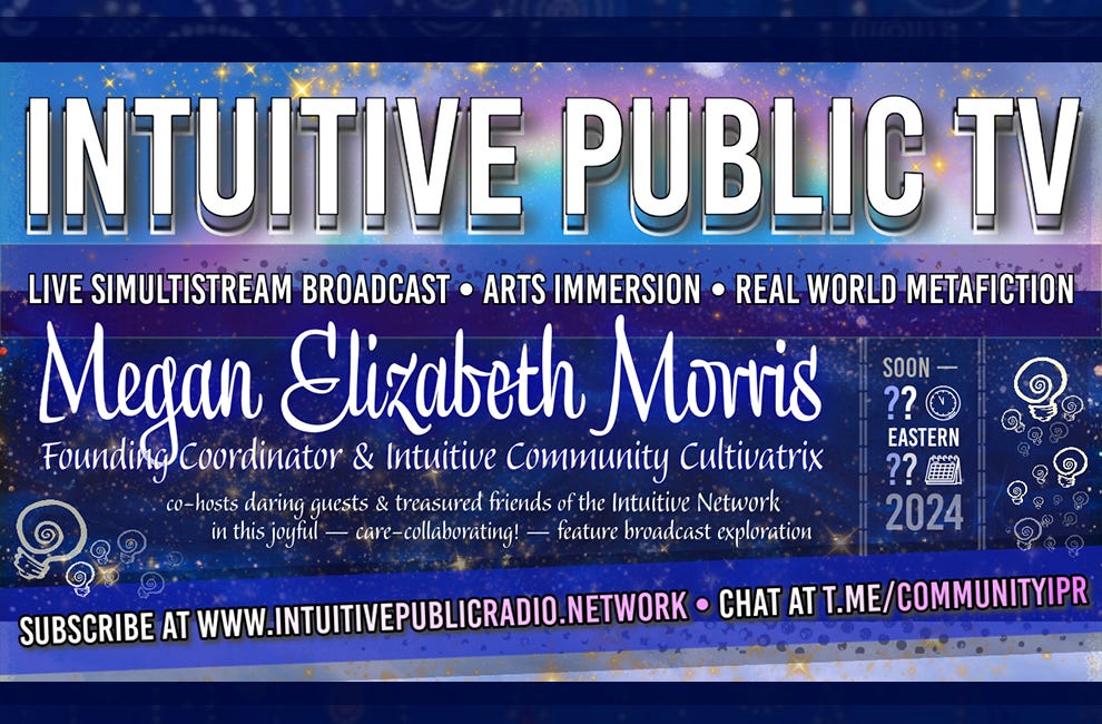What is Intuitive Public TV?