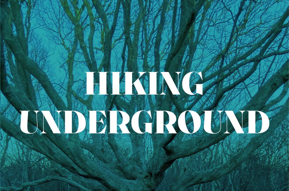 If you're looking for a respite from the horror of the last three years, read "Hiking Underground"