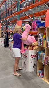 Holiday Spirit Rescued: DogPerfect Steps Up for Toys for Tots and Pace Center for Girls in Manatee County
