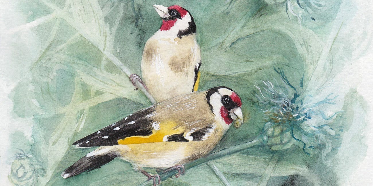 'Goldfinches & Cornflowers' painting process