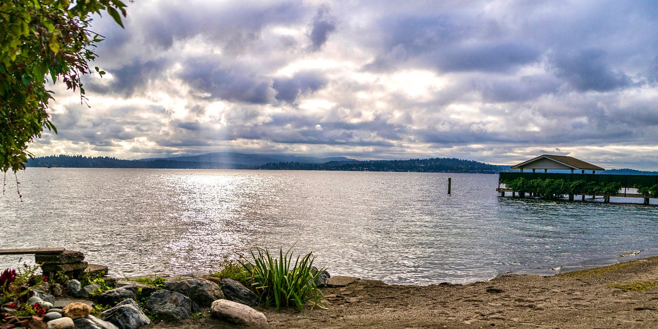 Petition launched to save Seattle's nude beach 