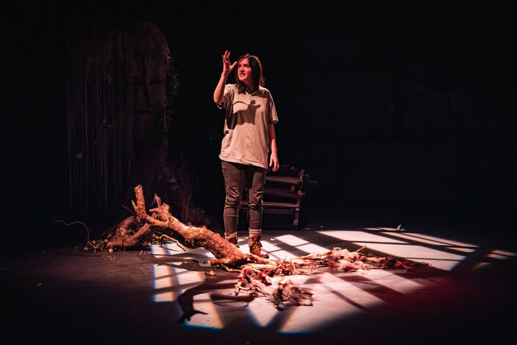 Theatre review: The Hare