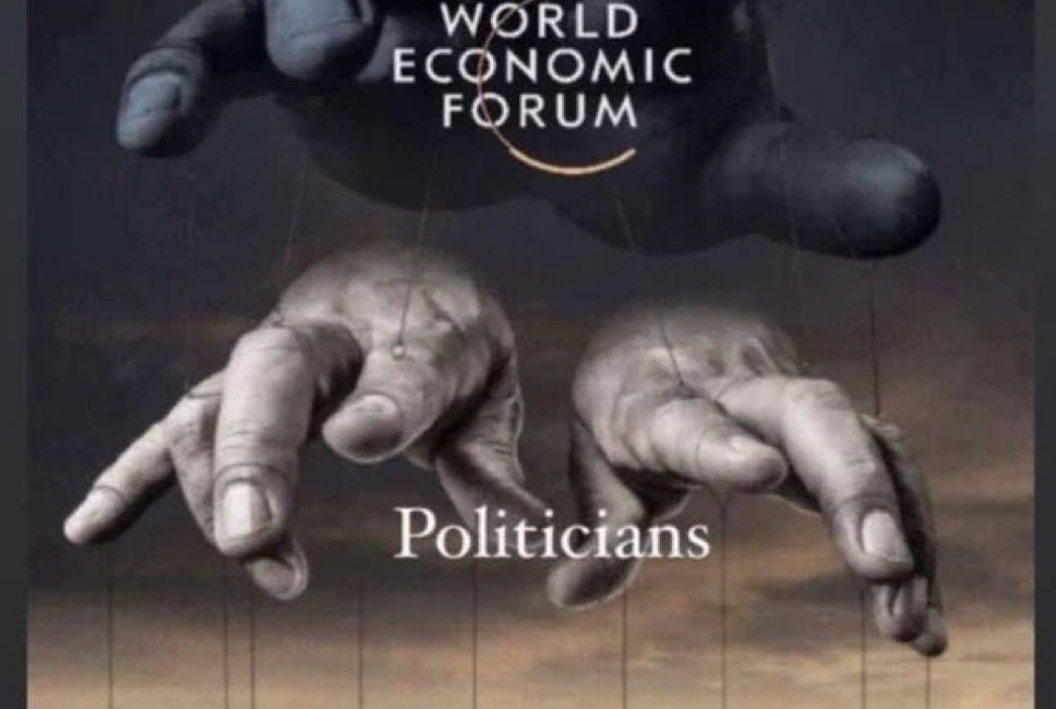 CHAOS OVERLOAD creates FUNCTIONAL MICROCEPHALY [text version] decision/social/political paralysis via gaslighting, neuroinflammation 
