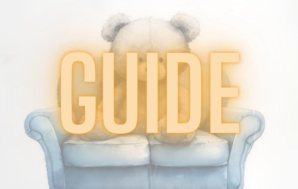 Guide: A Plush Teddy's Life