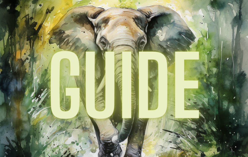 Guide: The Elephant
