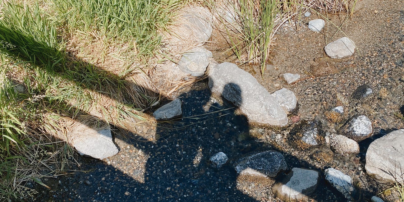 Finding solace in simplicity
