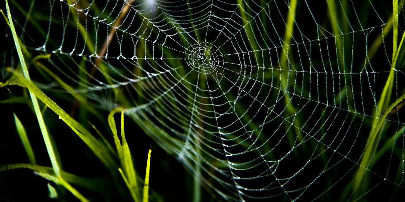 How to build a web without a silk gland