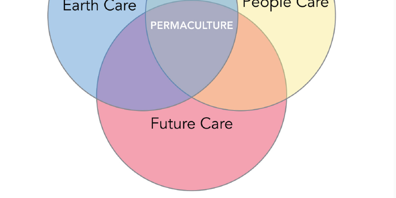 Why Involuntary Governance Structures are Not Compatible with The Permaculture Ethical Compass