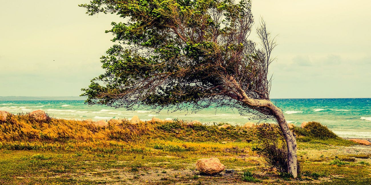 Don’t Get Swept Away, Dear Human