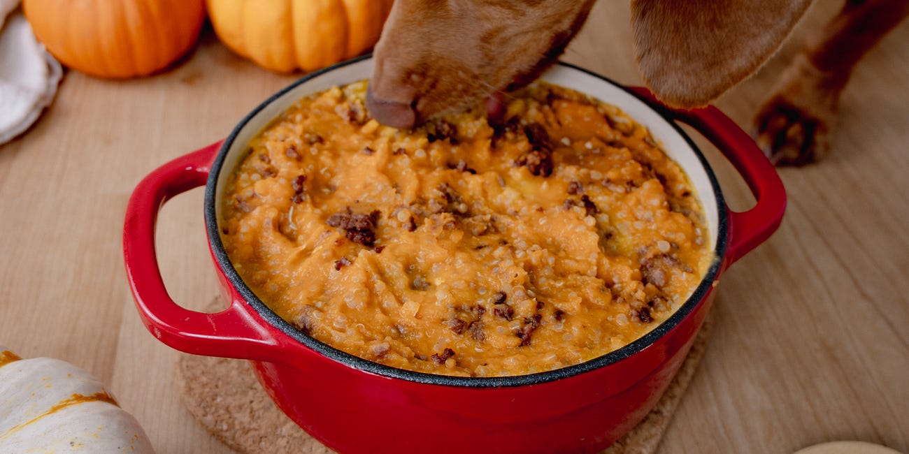 Beef & Pumpkin Porridge