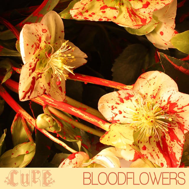 Our Bloodflowers - The Cure