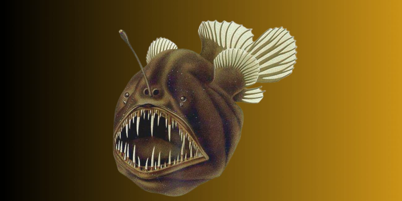 Anglerfish - taking the mating game to a whole new level