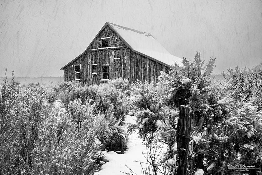 Photographing an Abandoned Ranch....in a Blizzard