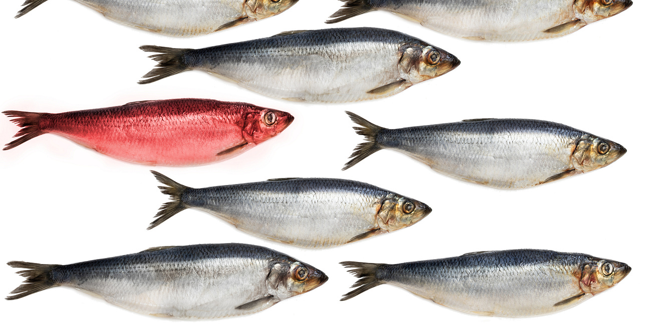 Economic Red Herrings