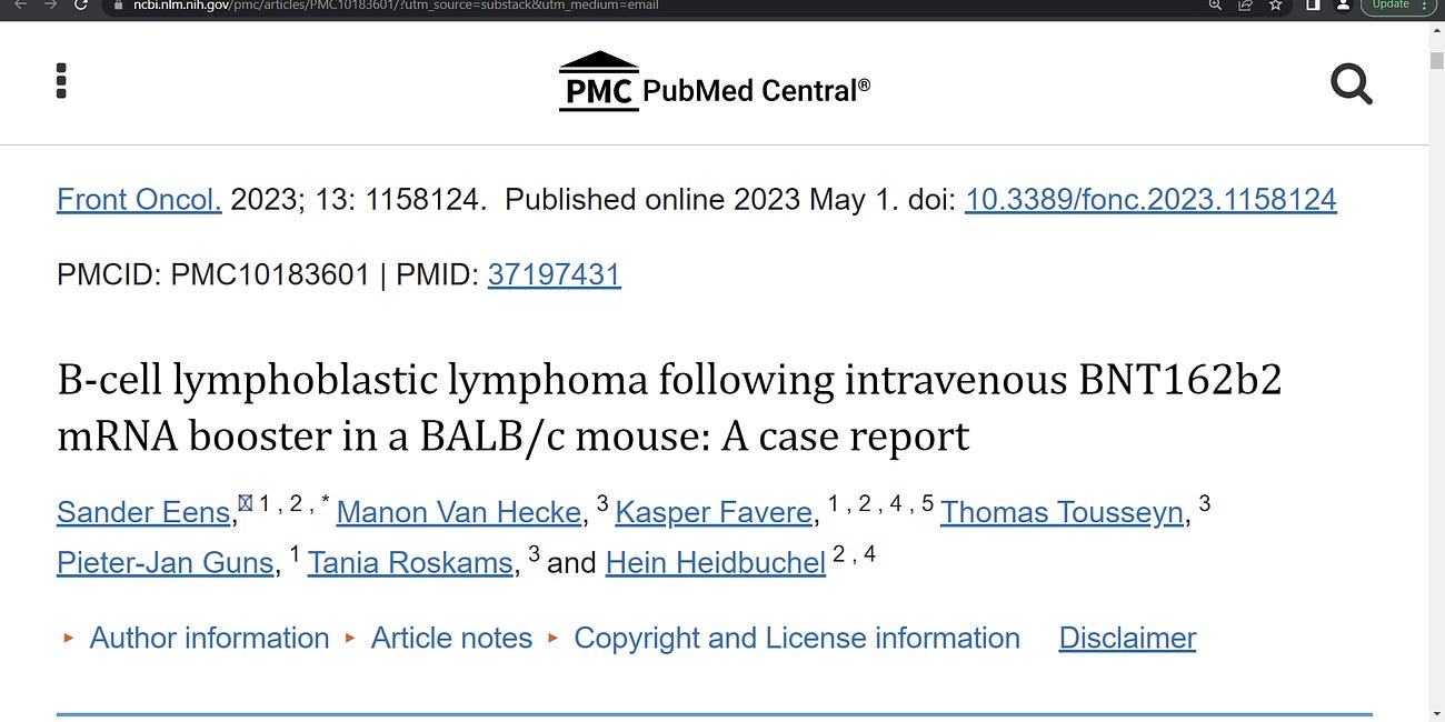 Devastating aggressive (TURBO) cancer, B-cell lymphoblastic malignant lymphoma, after Pfizer mRNA technology based gene injection vaccine (Malone, Kariko, Weissman) in a mouse model, n=14 mice (note, 
