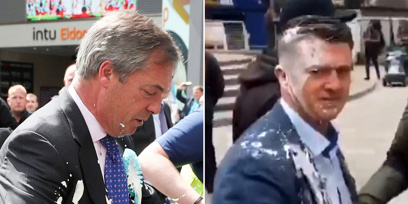 Elon Musk wants Nigel Farage and Tommy Robinson to run the UK