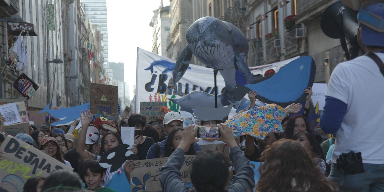 Fighting for the Gulf of California