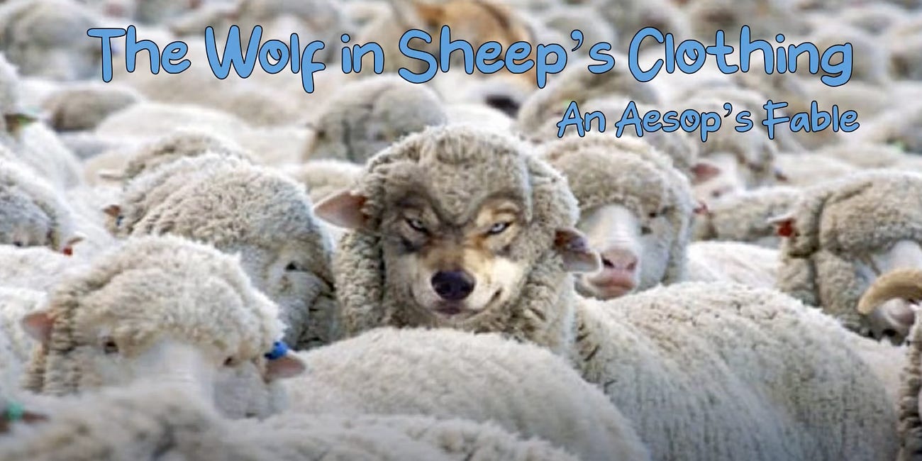 Wolf in Sheep’s Clothing