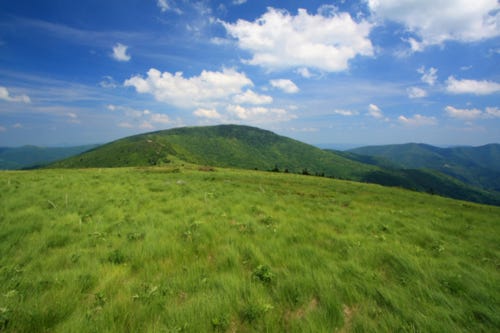 Rare homesteading opportunity