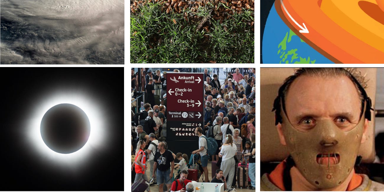 Goodbye to 2024, America's Craziest Year