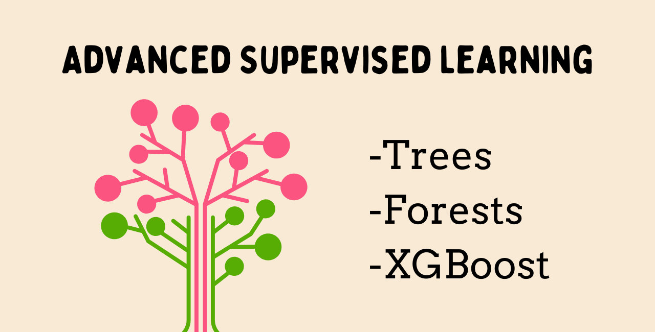 Decision Trees, Random Forests, and XGBoost Explained: Supervised Learning for Real-World Problems