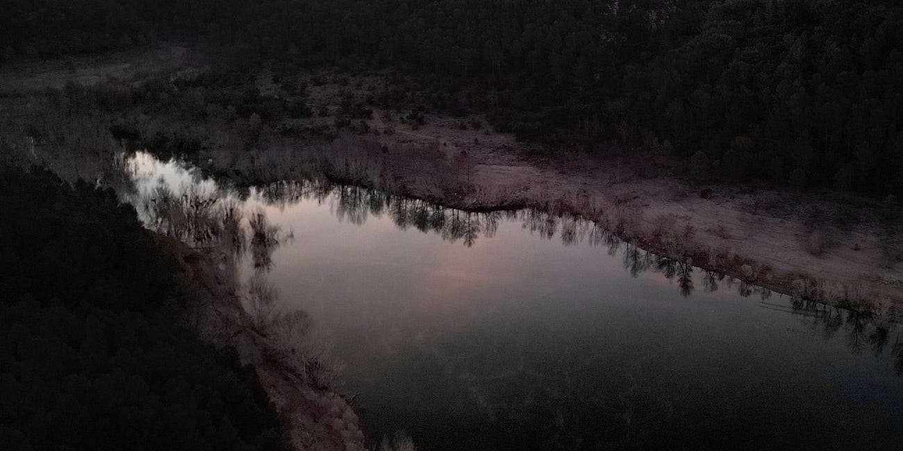 Nightscapes : Nocturnal Sounds from a Forest Lake
