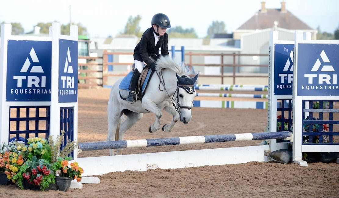 Meadows hosts scorching second leg of Ulster Region Autumn Pony Tour