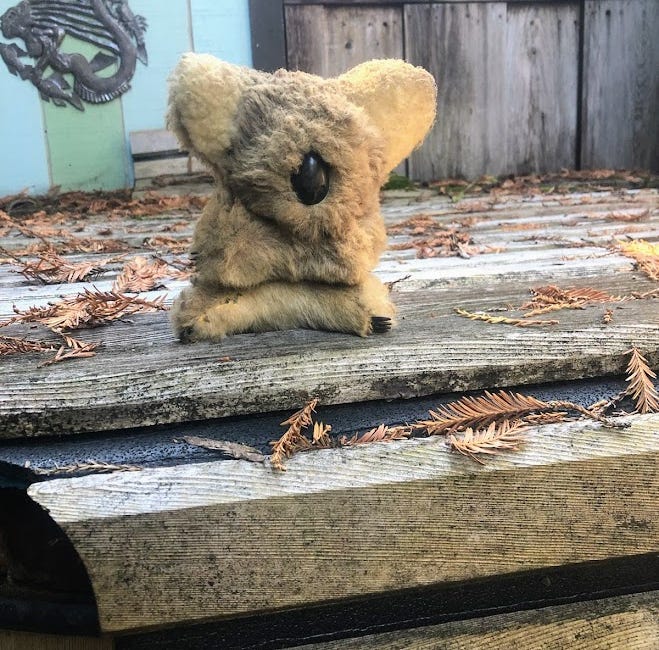 The One About The Bear