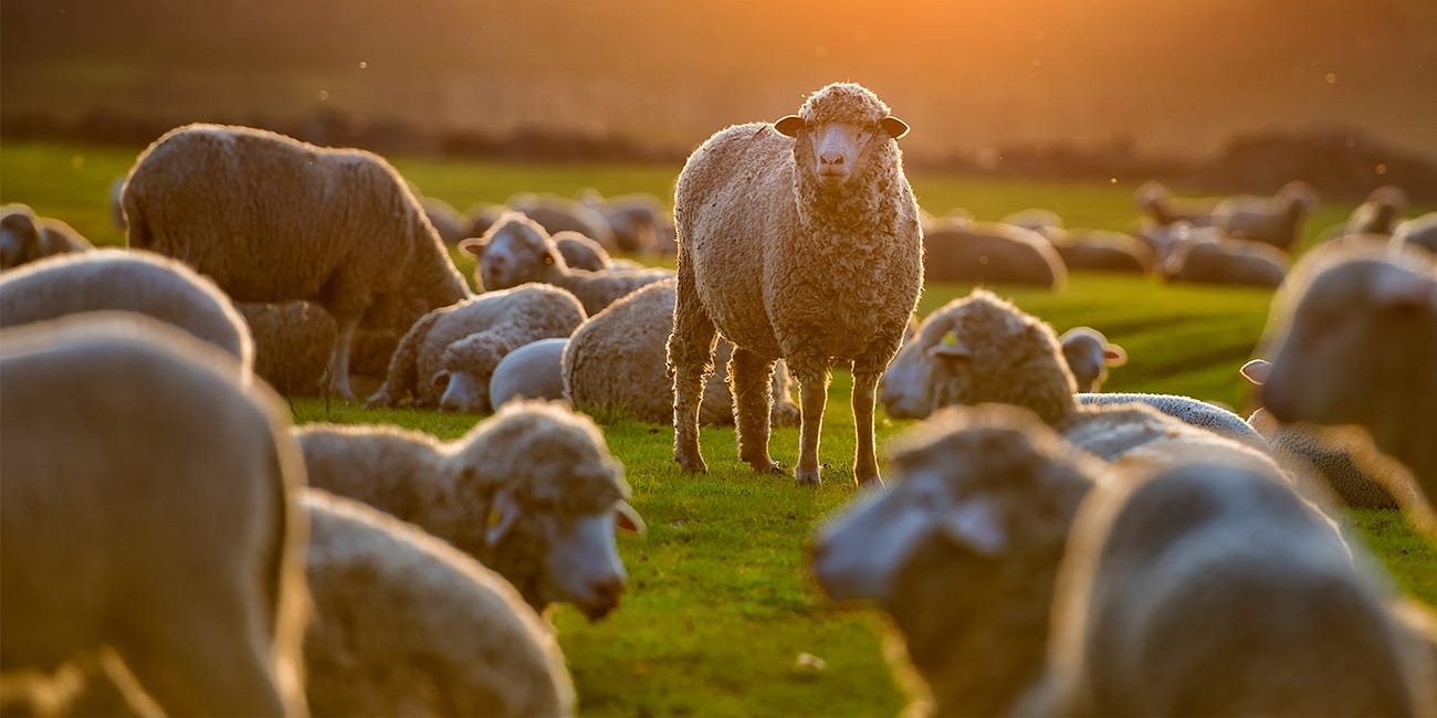 The Great Reality Debate and Synchronization Rituals
