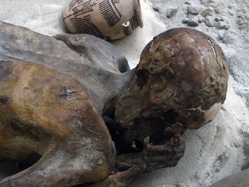 The Oldest Mummy in Human History