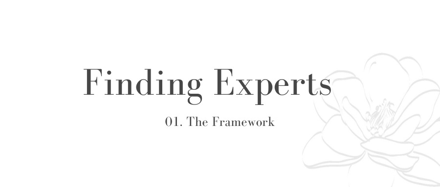 Finding Experts 01: The Framework