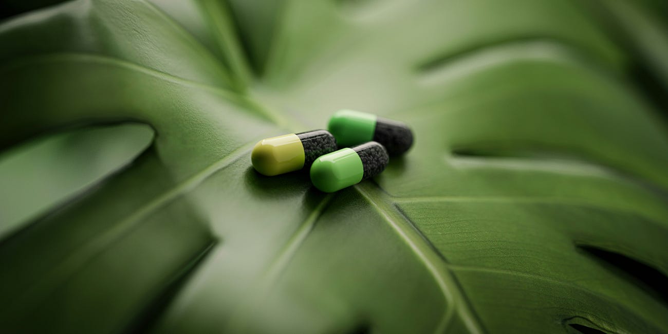 In a World Without Medicine, These Plants Could Save Your Life