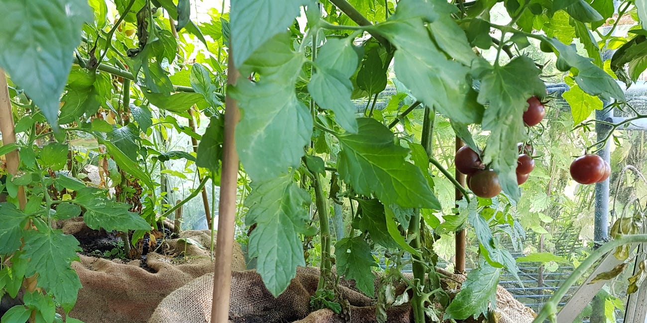 How to make hessian grow bags