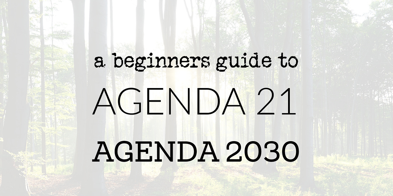 Agenda 21 vs Agenda 2030 vs Agenda 2050 Explained 