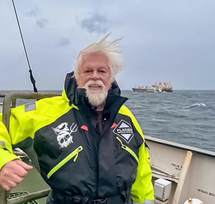 Captain Paul Watson: Splits With the Sea Shepherd, Launches a New Navy and Prepares to Invade Iceland - Skaana