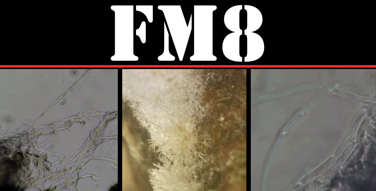 Fungus, Cross Linking Polymers & Synthetic Threads 