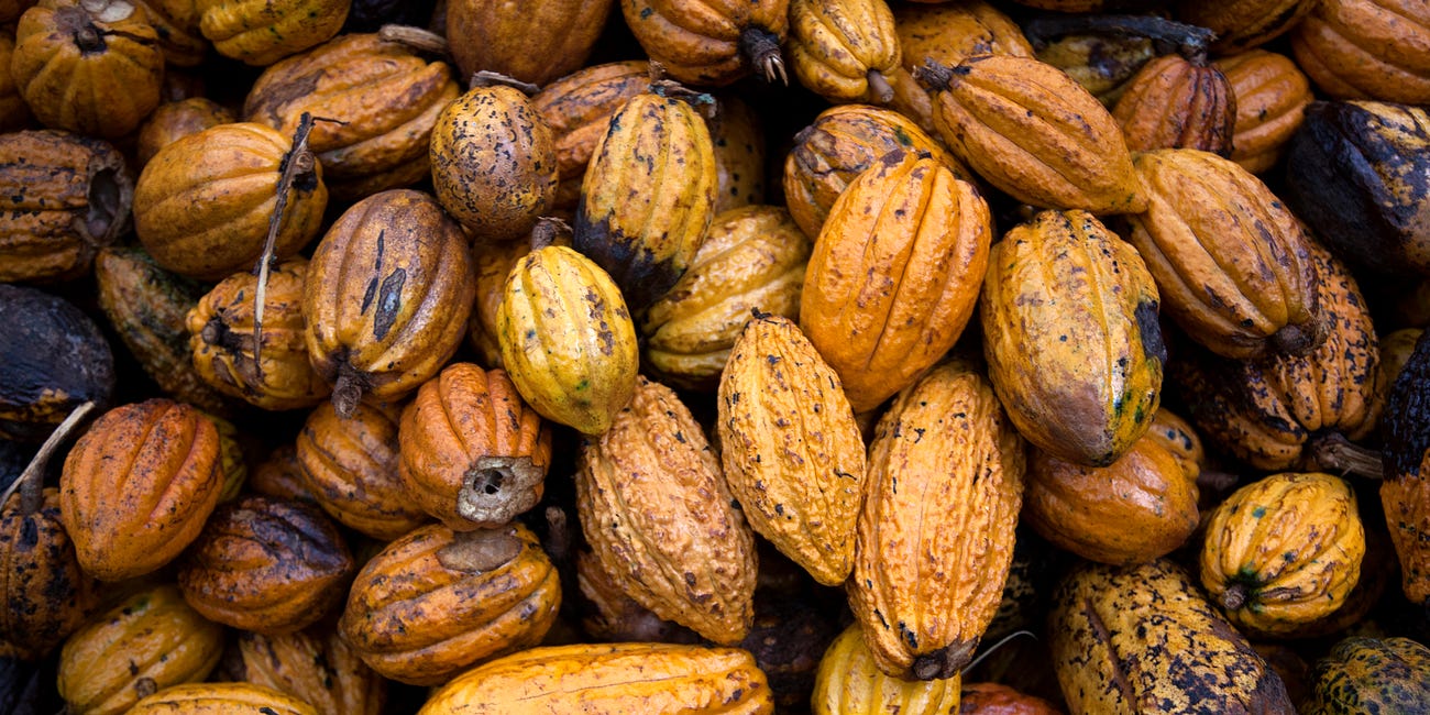 Photo Essay: Cacao Chuncho in La Convención, Peru